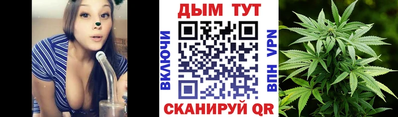 Каннабис планчик  купить закладку  Александровск 